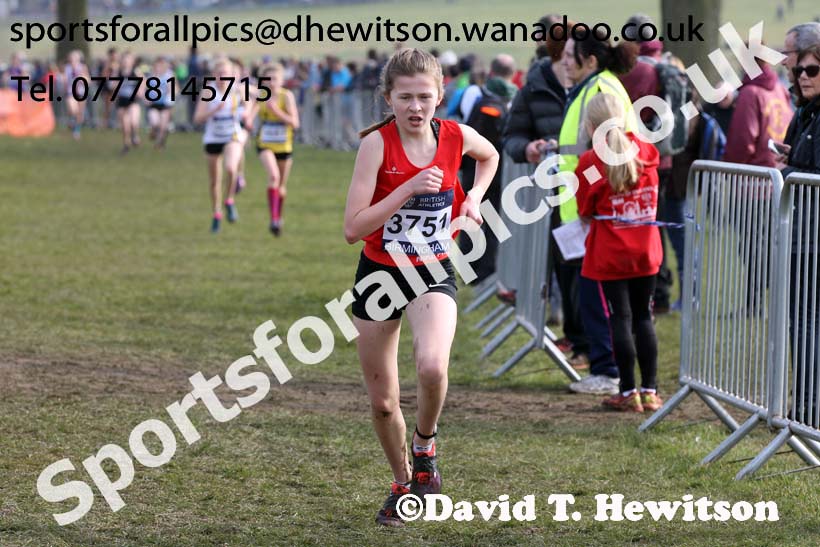 Girls under-15s 2016 Inter Counties Cross Country Champs. and Cross Challenge Final, Cofton Park, Birmingham. Photo: David T. Hewitson/Sports for All Pics